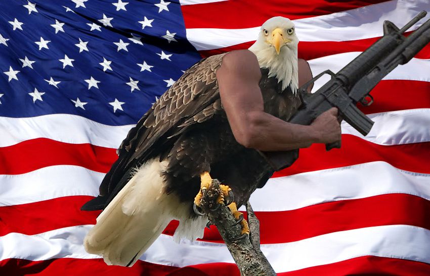 Image result for murica